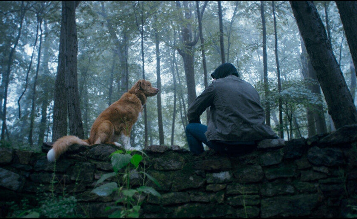 日本有数の映画ガイド・高橋ヨシキが『GOOD BOY/グッド・ボーイ』をレビュー!